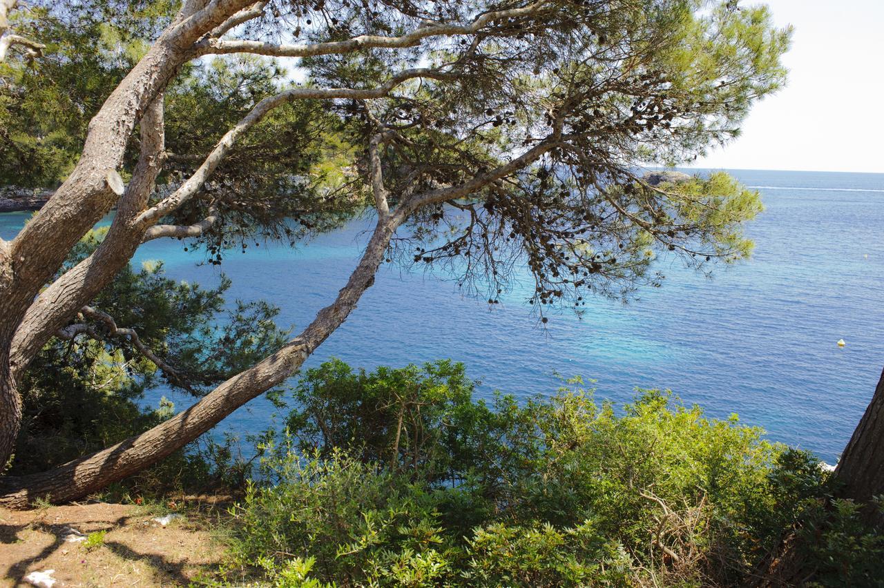 Apartamento Ferrera Park 623 Cala Ferrera  Exteriör bild